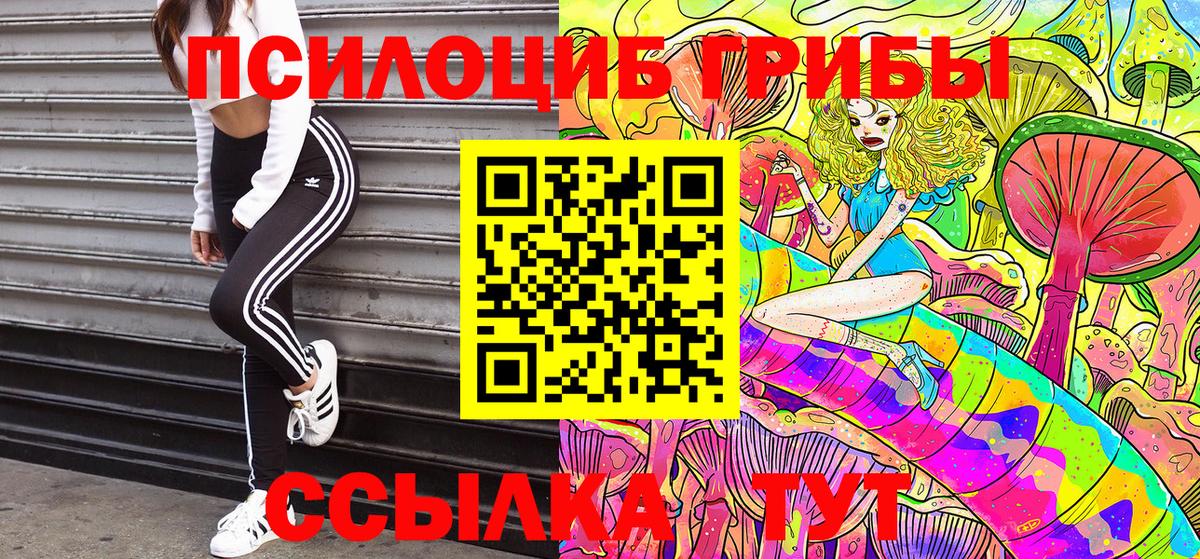 Галлюциногенные грибы Psilocybe  Псилоцибиновые грибы MAGIC MUSHROOMS  Вход с VPN  Фролово 